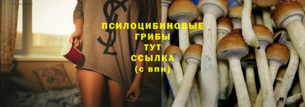 прущие крисы Заводоуковск