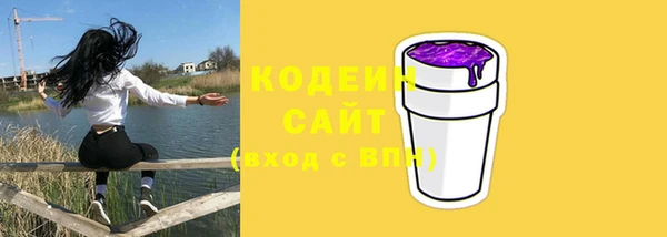 прущие крисы Заводоуковск